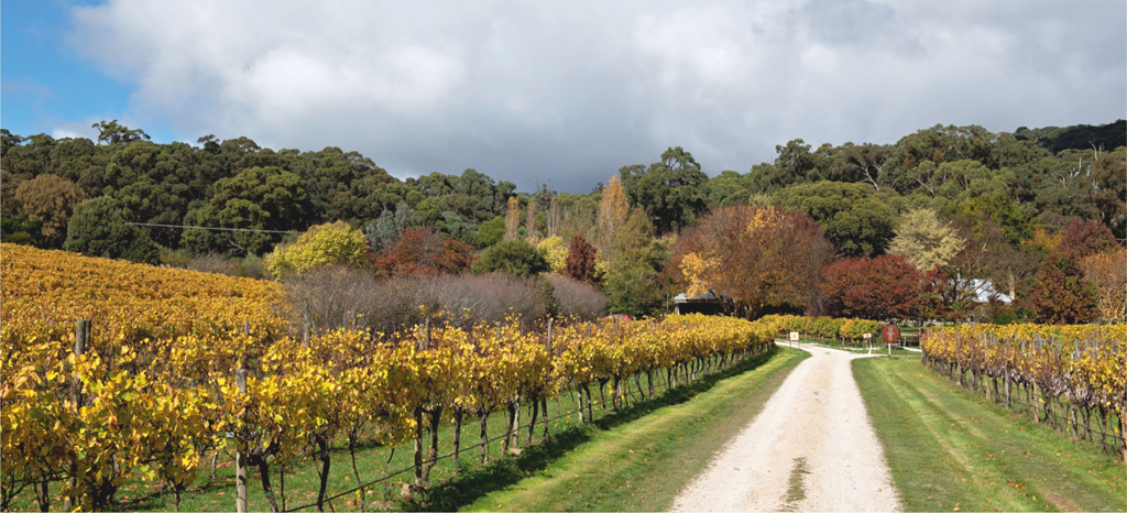 Macedon Ranges Red Winery Search | Macedon Ranges Wine Region