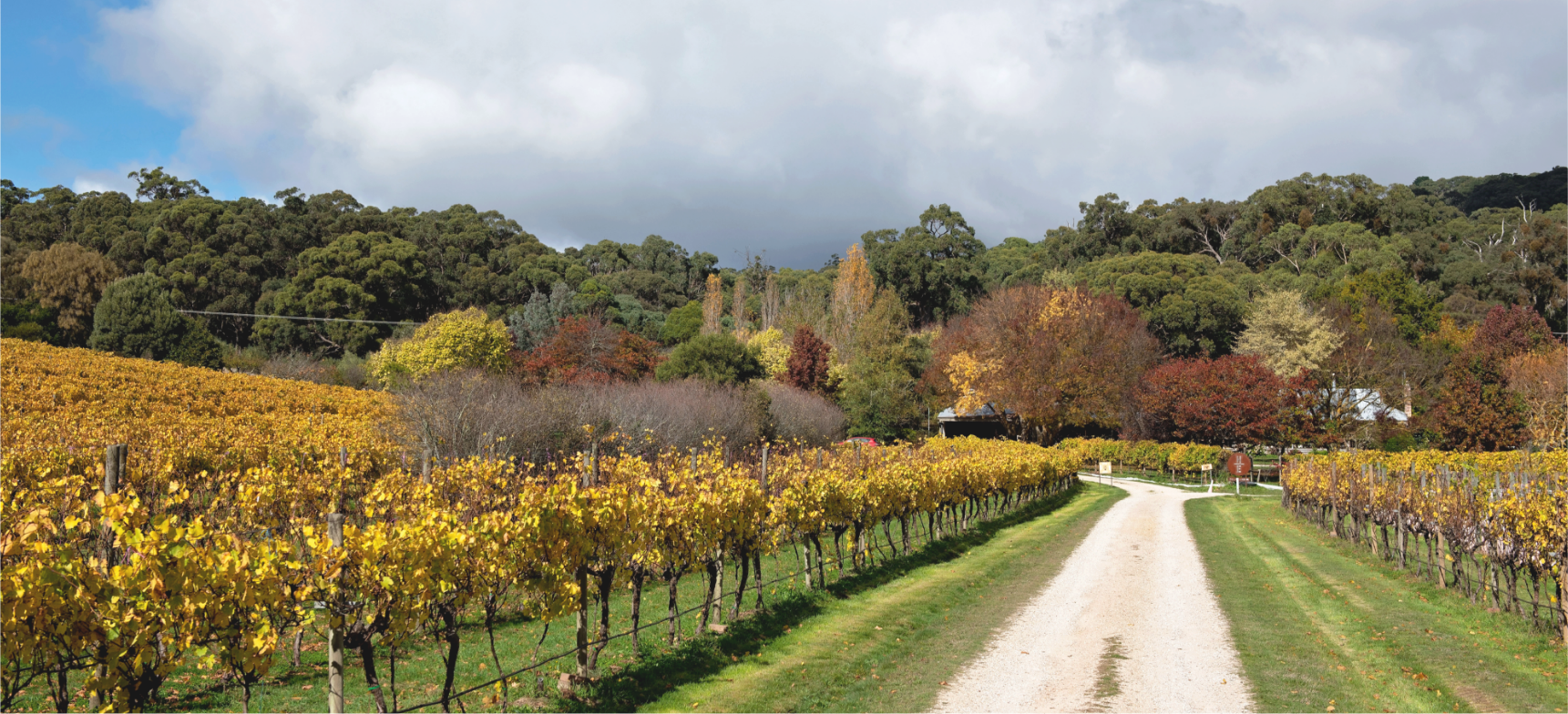 Macedon Ranges Wine Region