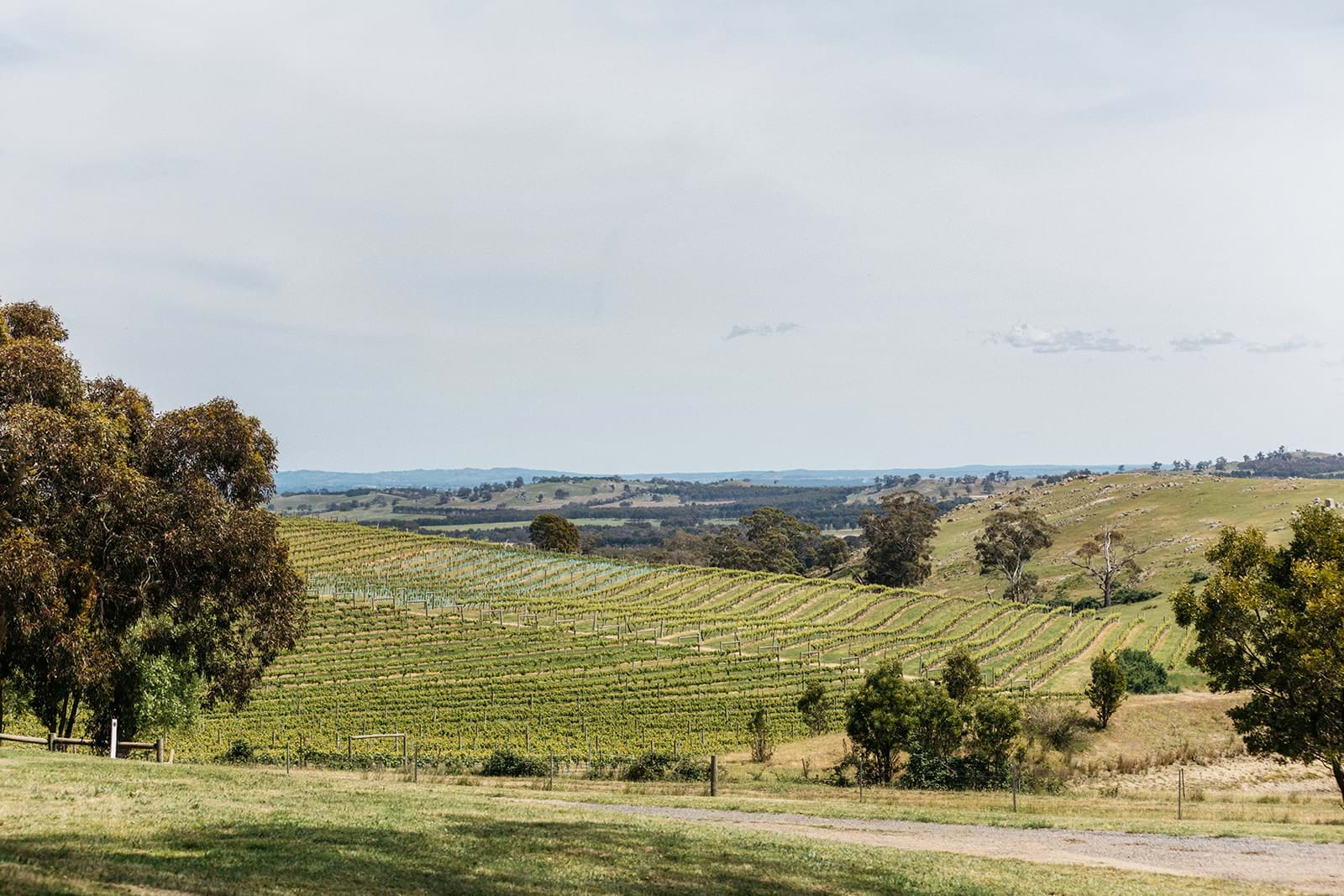 Macedon Ranges Wine Region
